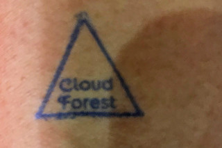 Cloud Forest - Hand stamp