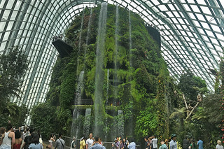 Cloud Forest - Towering water falls