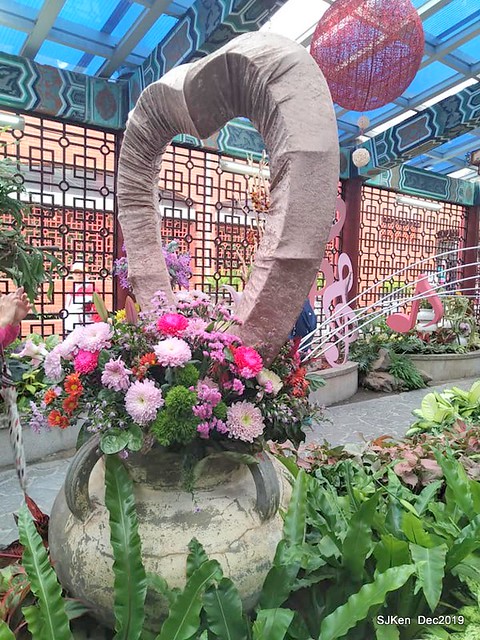 2019 chrysanthemum exhibition at Shulin Official residence, Taipei, Taiwan,  Dec 4, 2019