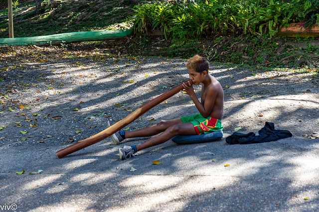 Young Abroginal person showing his skills on the Didgeridoo
