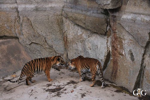 Besuch Tierpark Friedrichsfelde 18.11.2019112