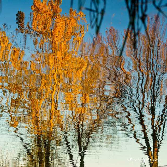 Reflet d'automne au réservoir Beaudet