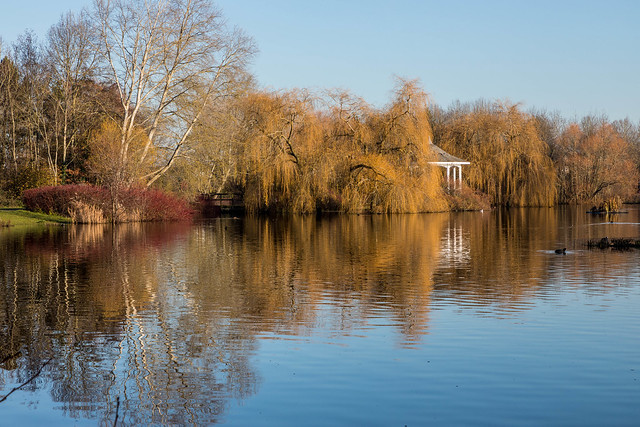 Late Autumn colour