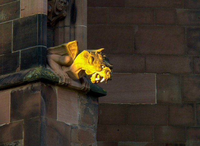 Gargoyle in the sun. Lichfield cathedral. S.E.Staffs