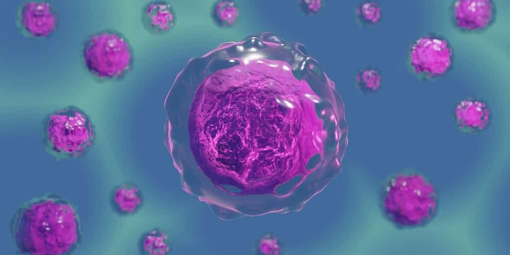des-cellules-humaines-artificielles-pour-la-recherche-en-biologie