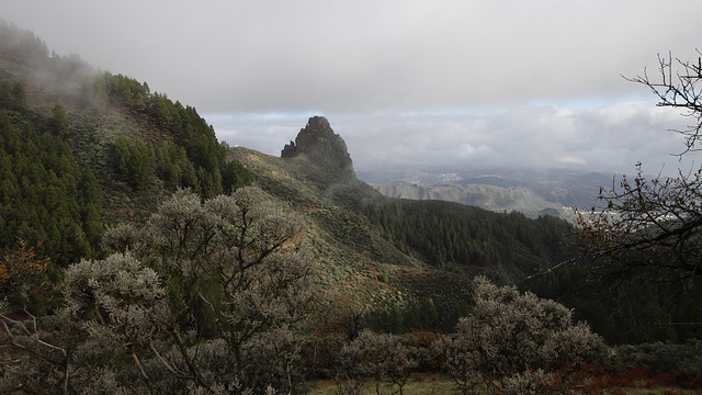 View to Roque Jincao. Gran Canaria. AA8A5077