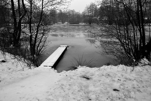 schwarzweiss monochrome einfarbig sw bw landschaft landscape winter schnee snow lake see buchholz buchholzidn seppensen richardtheuerpark teich pond