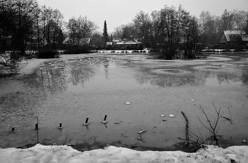winter schwarzweiss monochrome blackandwhite einfarbig sw bw landschaft landscape buchholzidn richardtheuerpark teich pond