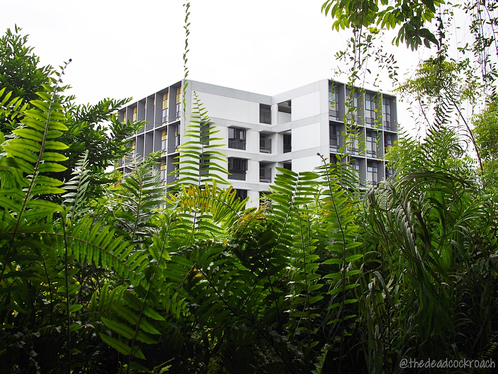 kampung admiralty, retirement village, review, roof garden, singapore, sky terrace, vertical kampung, 