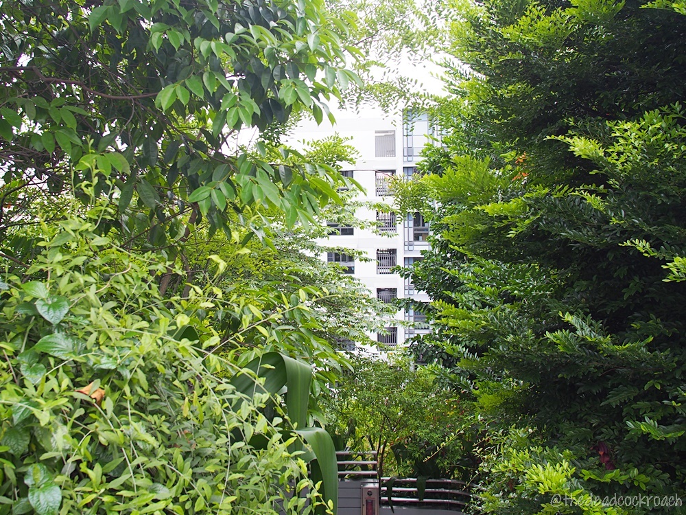 kampung admiralty, retirement village, review, roof garden, singapore, sky terrace, vertical kampung, 