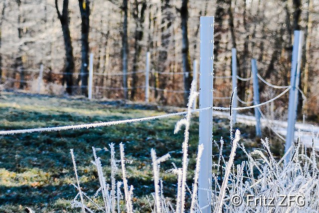 Wooden fence in the frost
