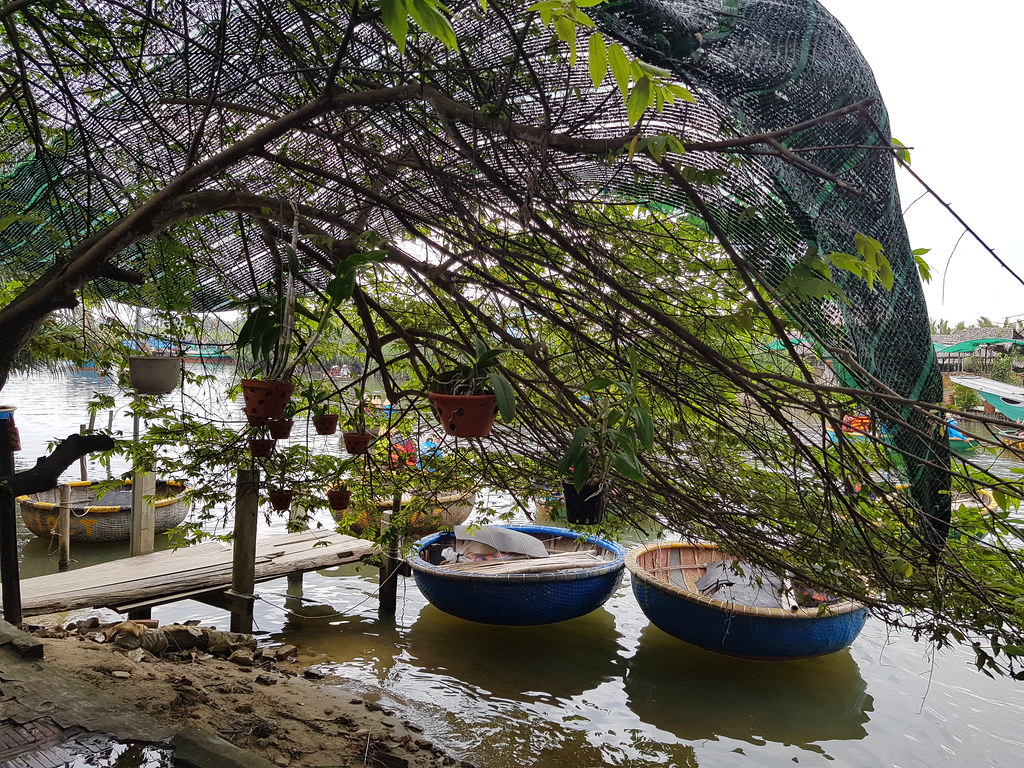 Day 2: 会安竹篮船 Hoi An Basket Boat Tour @ 会安 Hoi An, Vietnam