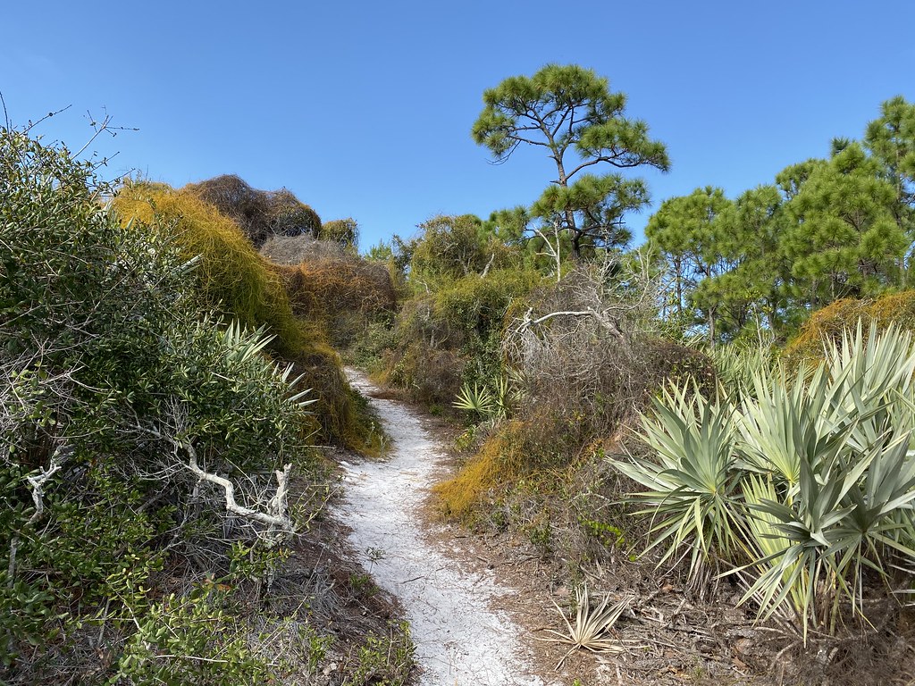Scrub Trail