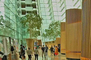 Marina Bay Sands - Hotel lobby ground