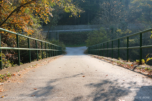 travel serbia srbija homolje gornjak bridge road crossroads autumn trees sunny fence
