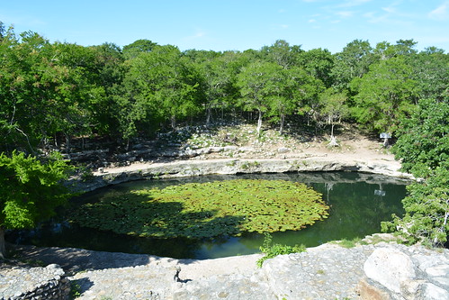 Cenote Xlacah, se ubica en el interior de la Z.A. de Dizibilchaltun