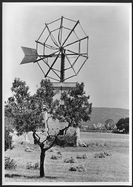 Archiv U708 Windmühle bei Llucmajor, Mallorca, 1950er