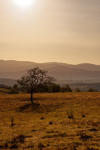 Un matin ensoleillé en Auvergne by Glc PHOTOs, glc6263dxo glcphotos nikon d850 fx full frame 45mpixel tamron sp 90mm f28 di macro 11 vc usd tamrons