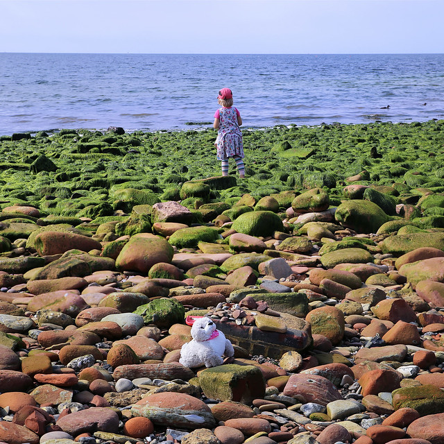 Little girl on the lookout for a real seal while her cuddly seal is waiting