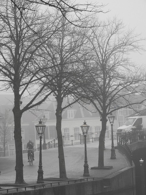 foggy winter morning