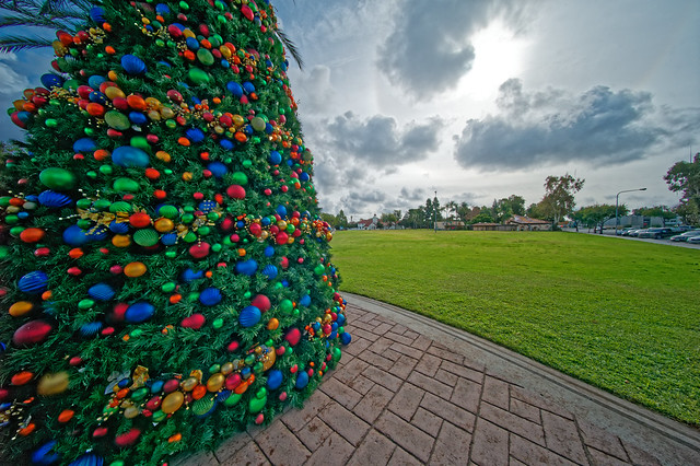 Christmas Tree at Village Green Park
