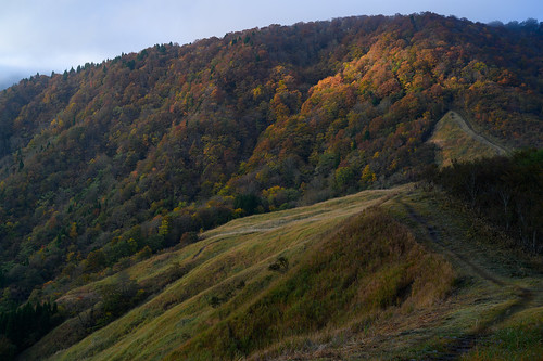日本 兵庫県 美方町 mountain japan autumnleaves 紅葉 山 日の出 氷ノ山 sunrise