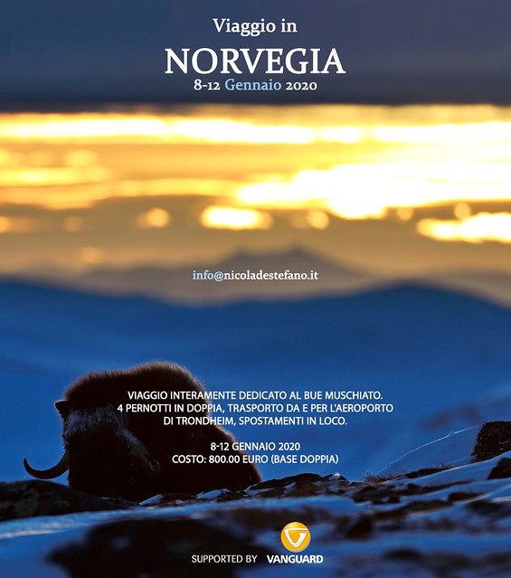 Viaggio Norvegia 8-12 gennaio 2020