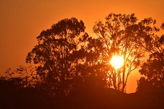 sunrise over Jindalee  ----- DSC_4315