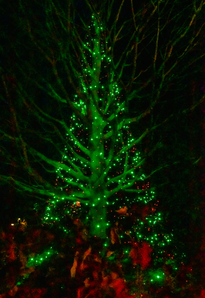 Longwood Gardens Christmas Display