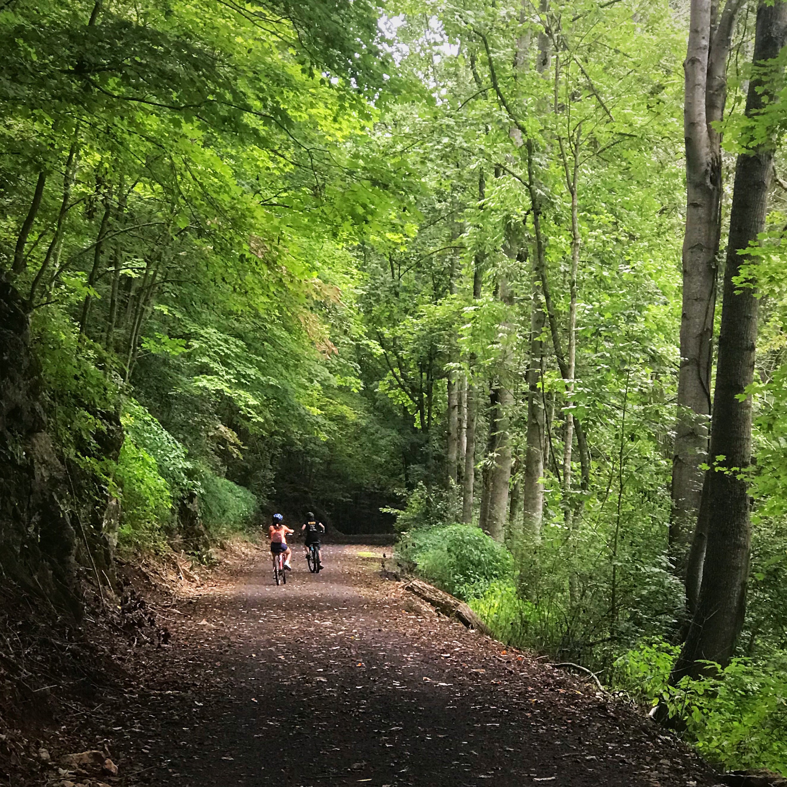 Two children biking on New River Trail