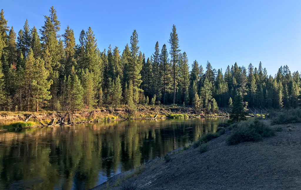 Cougar Woods Loop 3 1/8 Mile