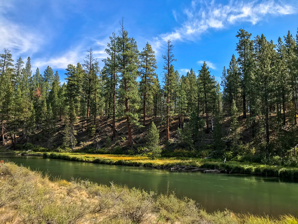 Cougar Woods Loop 3 1/8 Mile
