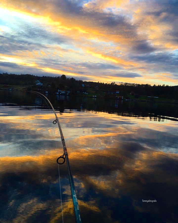 Evening session with fishingrod and camera. Skjoldastraumen, Rogaland, Norway