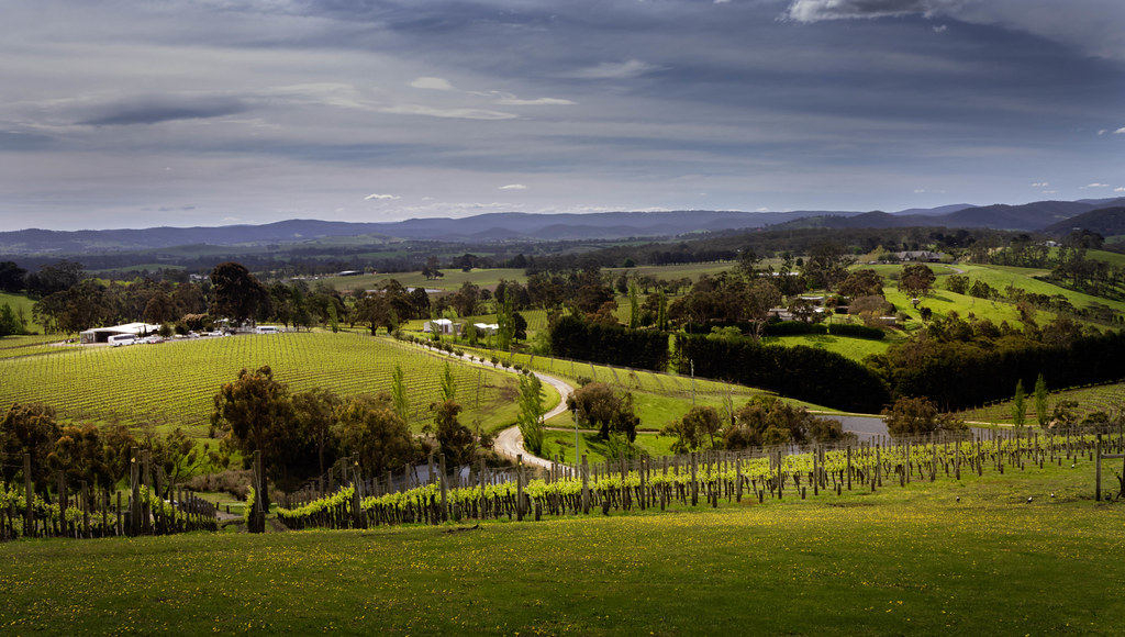 Yarra Valley, Melbourne: How To Reach, Best Time &amp; Tips