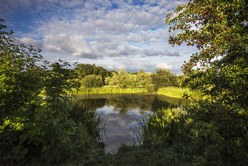 canon6d landscape nature outdoors trees bushes water lake reflections clouds sky uk cambridgeshire outside