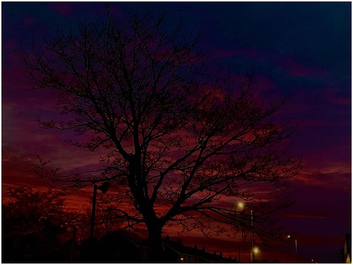 sunrise sunlit sunlight clouds cloud cloudscape sky skywatching colour colourful tree silhouette urban street lights nature naturephotography naturelovers natureseekers weatherwatch weather photography photoof image imageof imagecapture scunthorpe lincolnshire northlincs northlincolnshire nlincs