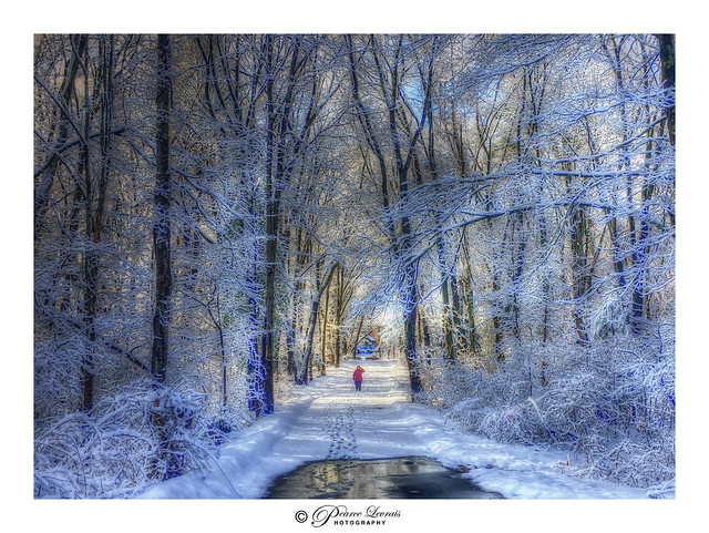 Walking Through The Magic Snow