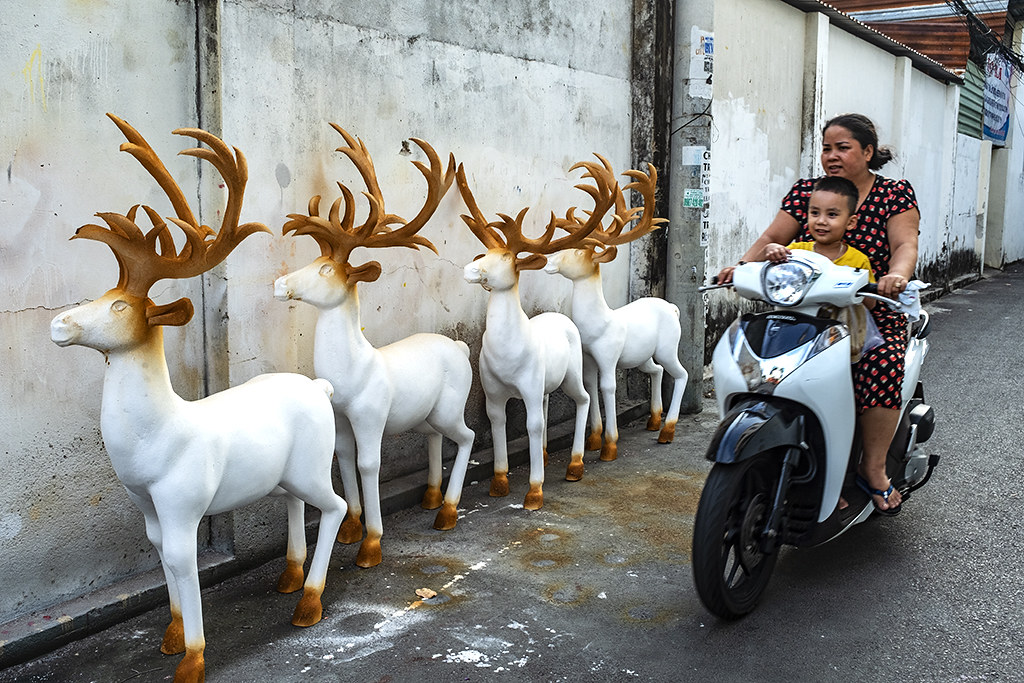 Reindeer in alley off Phan Chu Trinh--Vung Tau