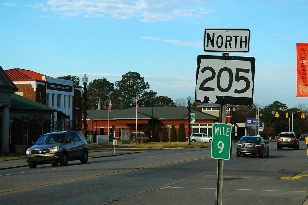 AL205 North Sign - Albertville