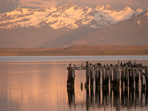 chile patagonia natales regióndemagallanesydelaan panasonicg9 sunrise fjord esperanza ultima sea mountains water clouds