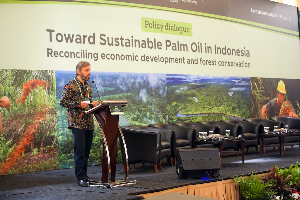 Policy dialogue: Towards Sustainable palm oil in Indonesia. JS Luwansa, Jakarta, Indonesia.