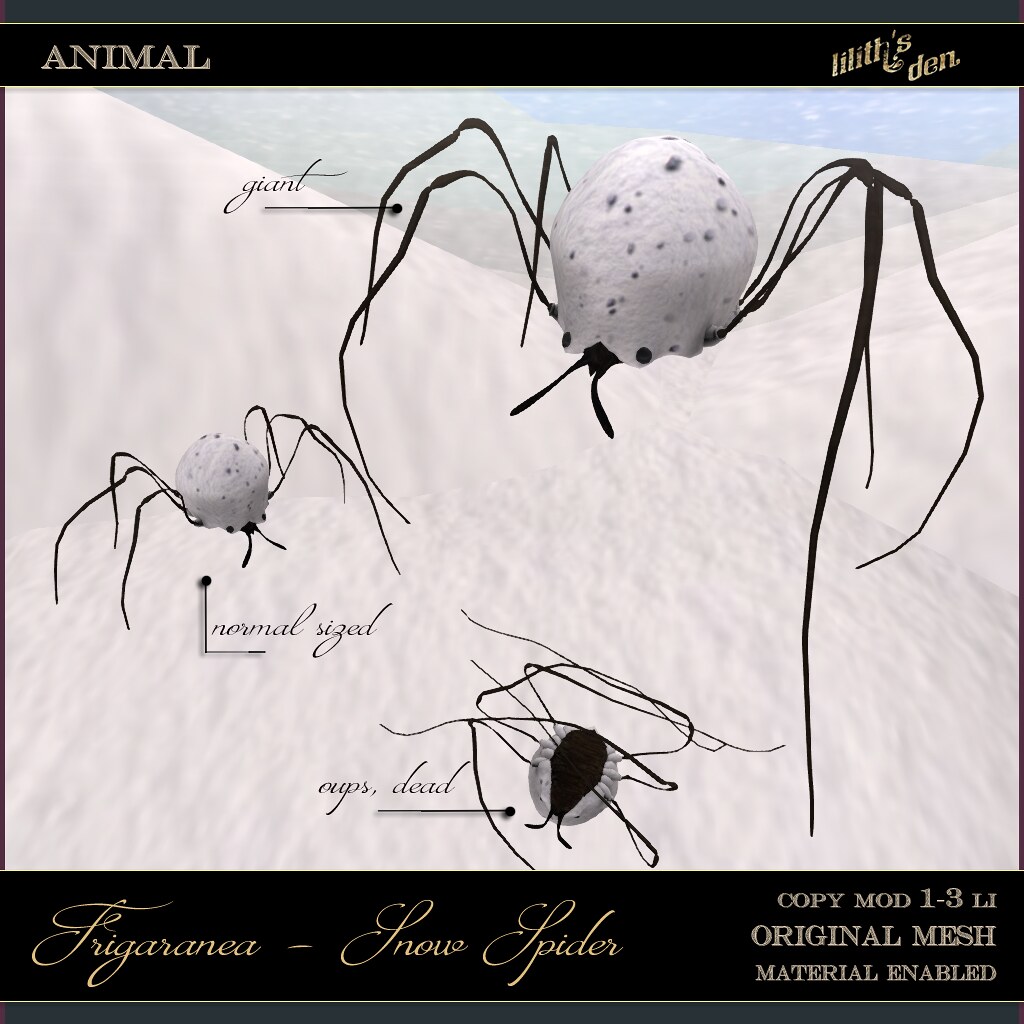 LD Frigaranea – Snow Spider