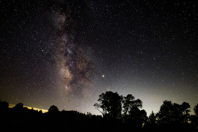 A starry sky with the Milky Way showing and a silhouette of trees in the bottom