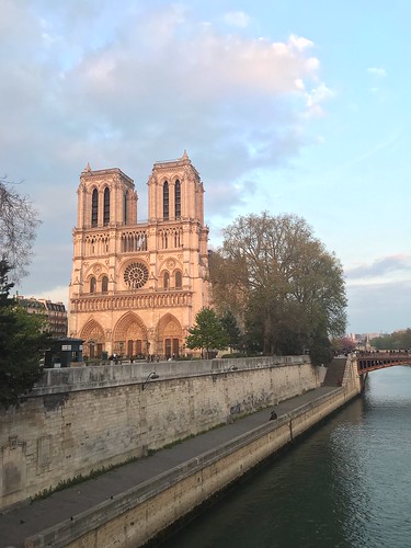 Notre Dame by Miriam Attal