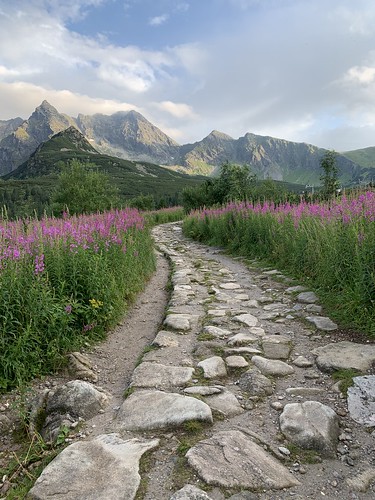 A Valley in the Tatras by Emily Learman