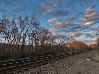 Late Day Along Tracks