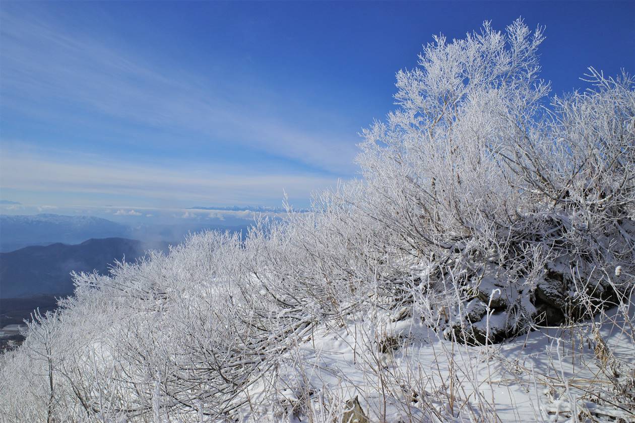 飯縄山の霧氷