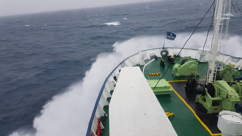 Drake Passage Return Day 1