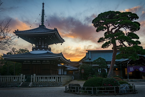 tokyo japan ikebukuro nikon nikond7100 d7100 sigma sigma1750mmexdcoshsm autumn gokokuji gokokujitemple sunset dusk hdr temple buddhist