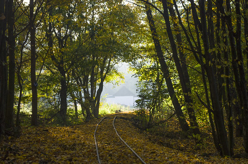 börzsöny túra hiking hungary ősz autumn fall kemence kemencei erdei vasút godóvár kisvasút múzeumvasút narrow gauge railway museum forest